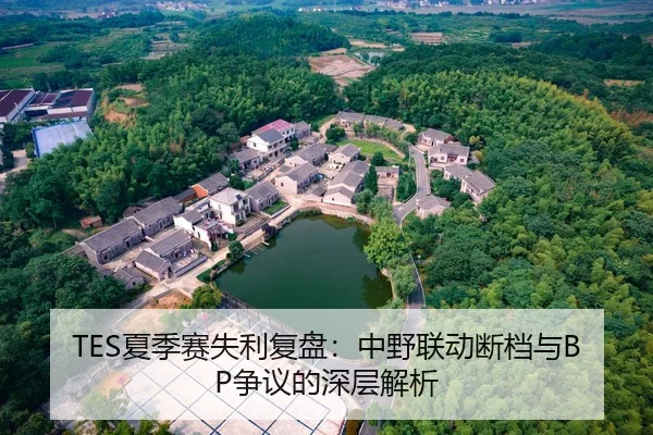TES夏季赛失利复盘：中野联动断档与BP争议的深层解析 - FIFA