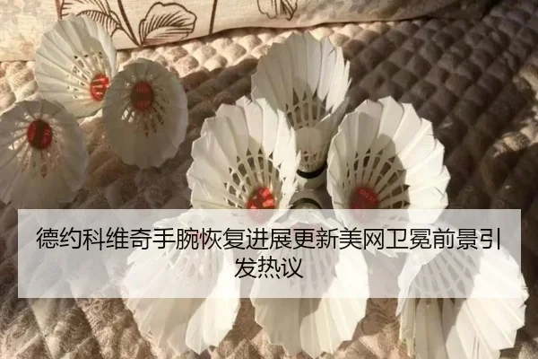 德约科维奇手腕恢复进展更新美网卫冕前景引发热议（FIFA）