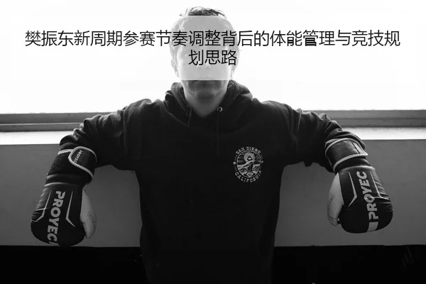 樊振东新周期参赛节奏调整背后的体能管理与竞技规划思路（FIFA）